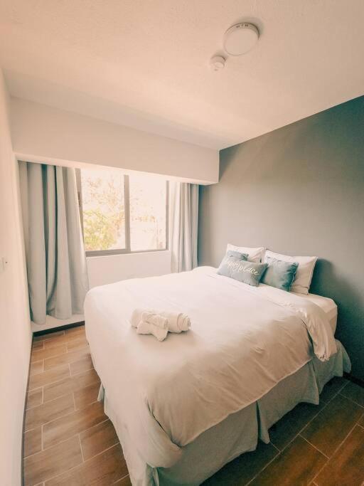 Entire Beautiful Condo With Rooftop Pool And Gym 산살바도르 외부 사진
